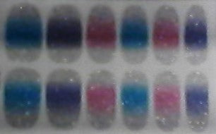 Fingernail Polish Stickers - Glitter Ombre/Gradient (2.99/ea)